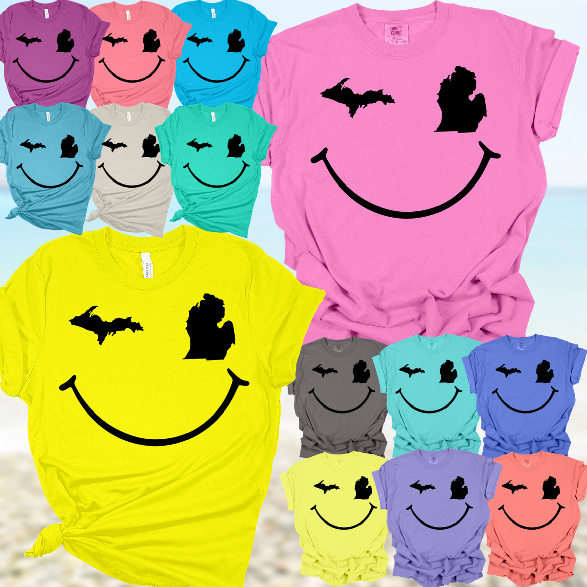 Michigan Smiley Tee (Adult)