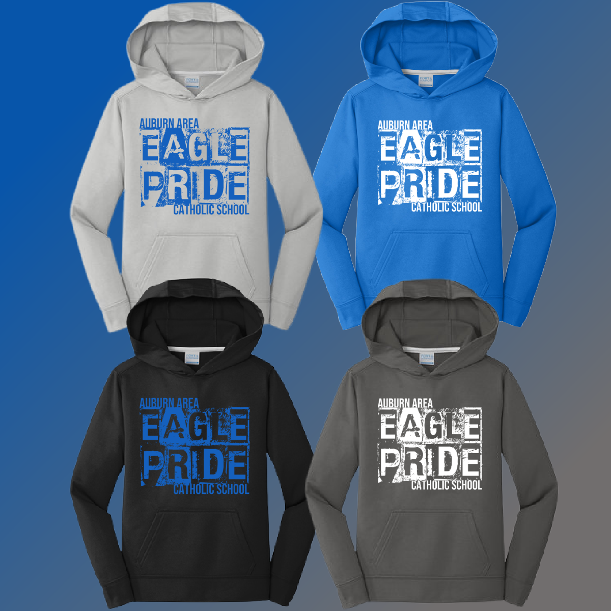 AACS Eagles - Distressed Block Performance Hoodie