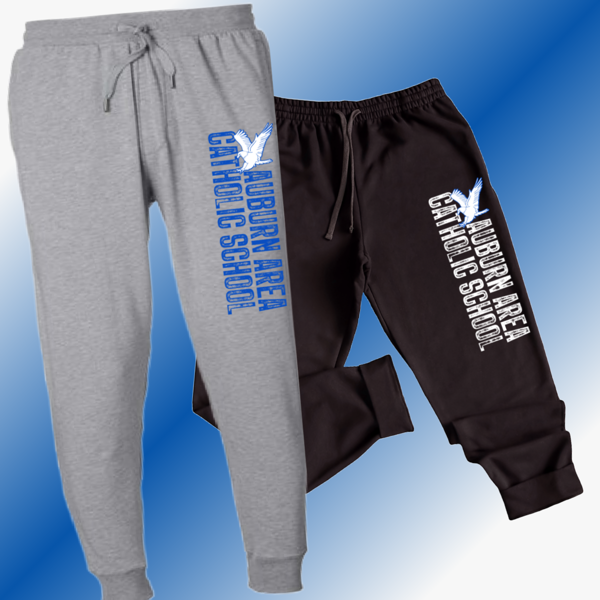 AACS Eagles - Basic Joggers (Youth & Adult)