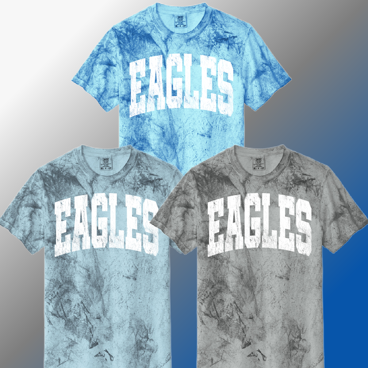 AACS Eagles - Grunge Font Color Blast Tee (Adult)