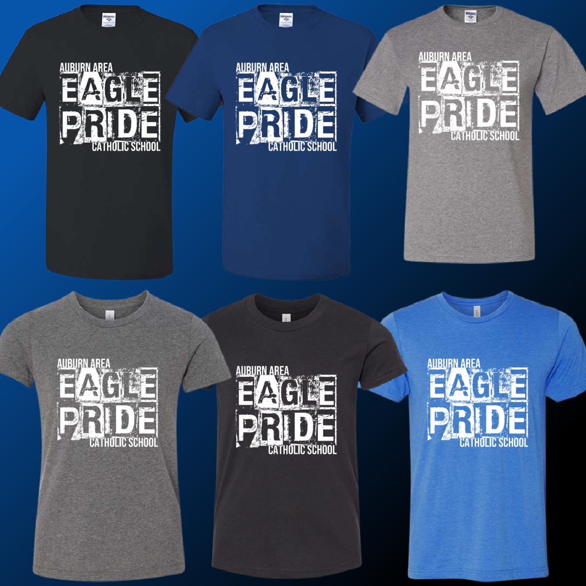 AACS Eagles - Distressed Block Tee