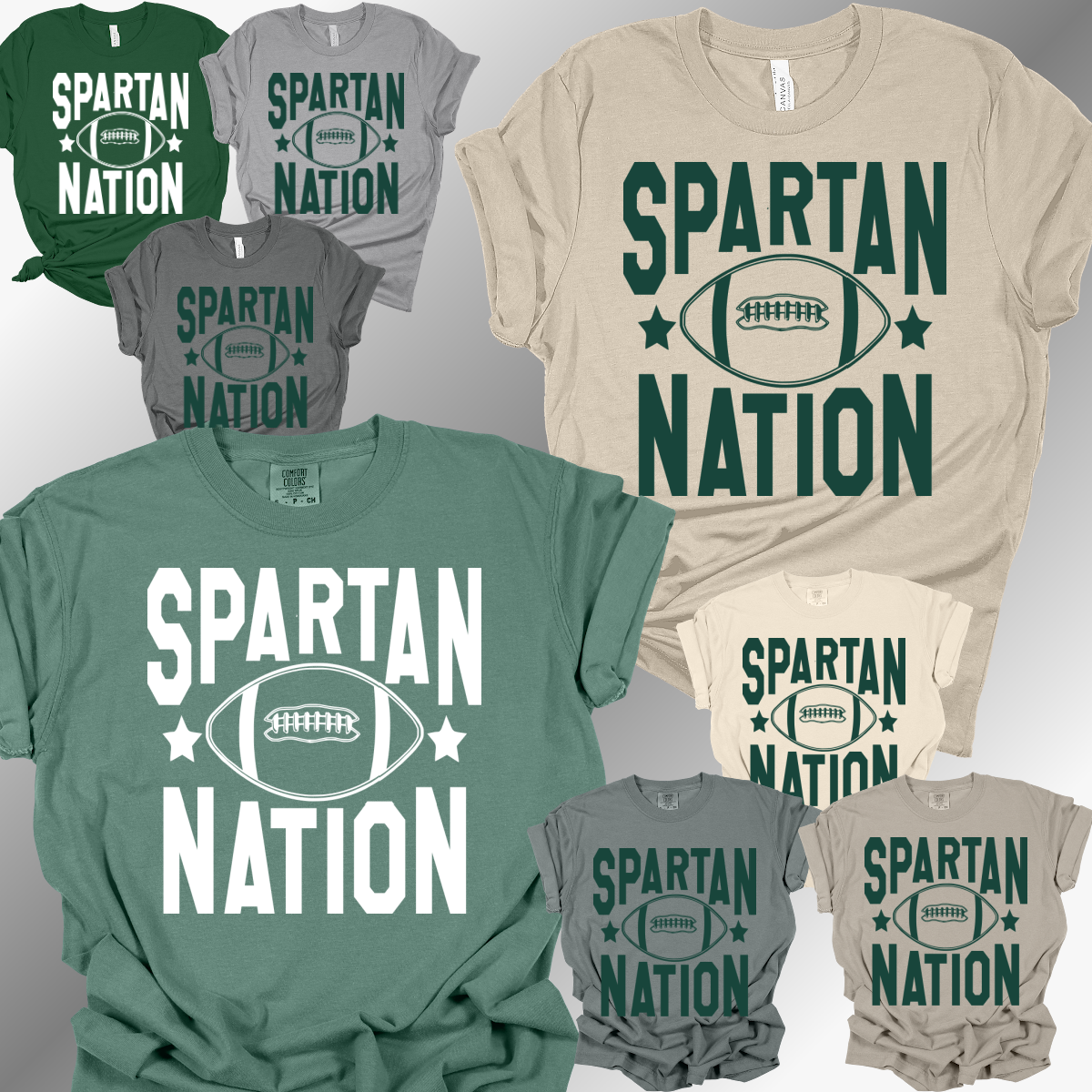Pinconning Spartans - Spartan Nation Football Tee (Adult)