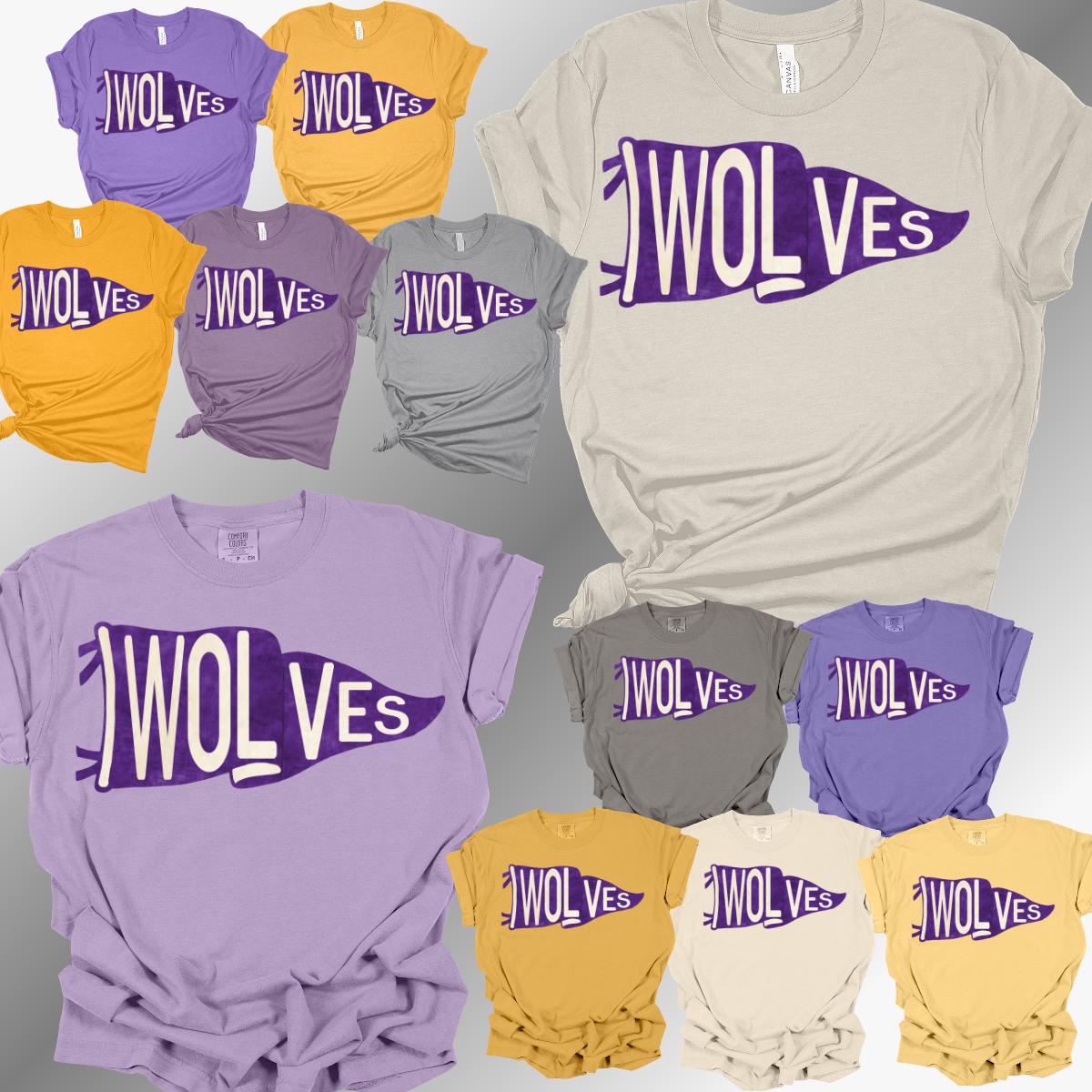 Bay City Central Wolves - Pennant Flag Tee (Adult)