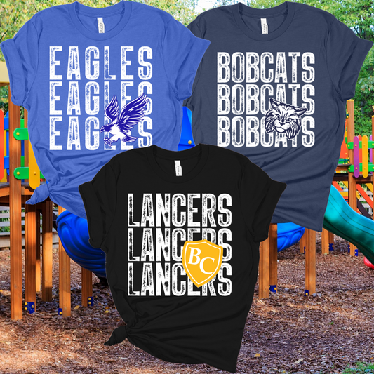 Eagle Mascot T-Shirt Design Ideas :: School Spirit, FREE Shipping.