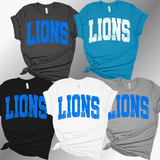 Detroit Football Distressed - Bella Canvas Tee (Adult)