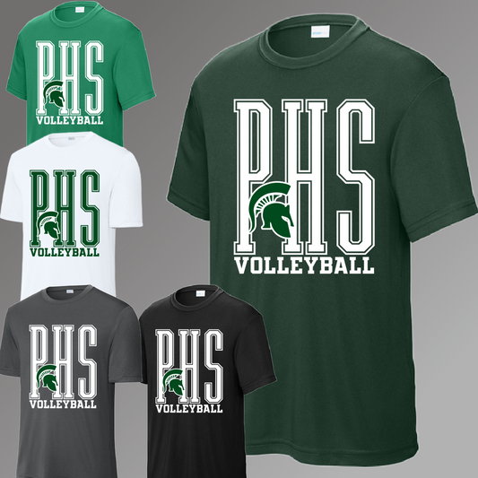 Pinconning Spartans - PHS HIGH SCHOOL YOU CHOOSE THE SPORT Performance Tee (Youth)