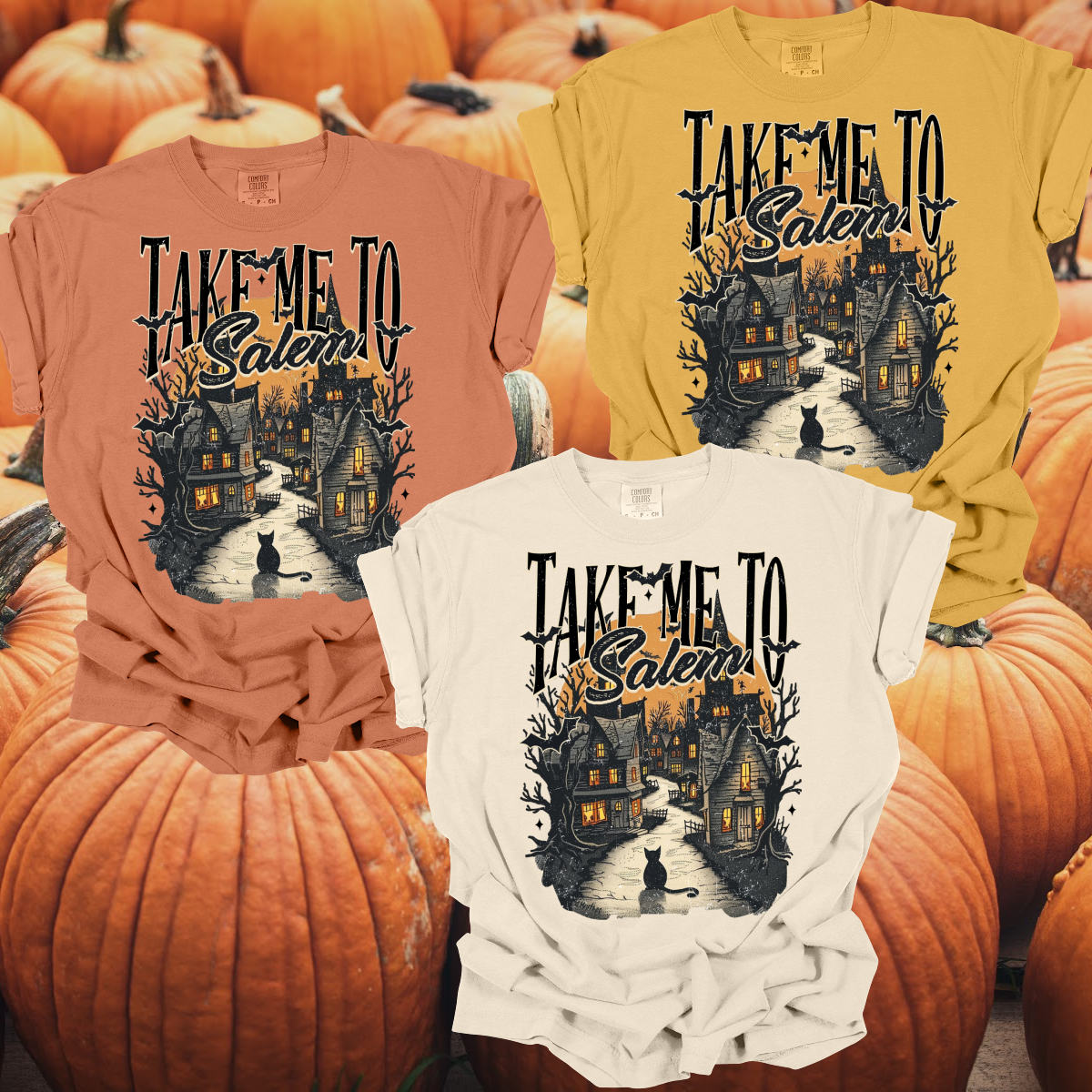 Take Me To Salem - Comfort Colors Tee (Adult)