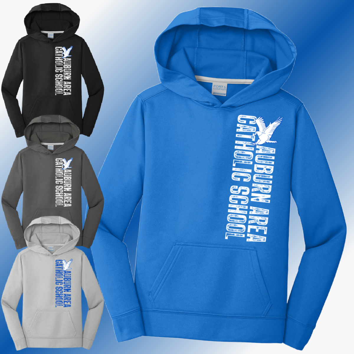 AACS Eagles - Distressed Vertical Performance Hoodie (Youth & Adult)
