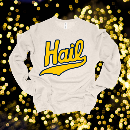 Retro Hail Premium Sweatshirt-Dust (Adult) - MADE TO ORDER/TWO WEEKS